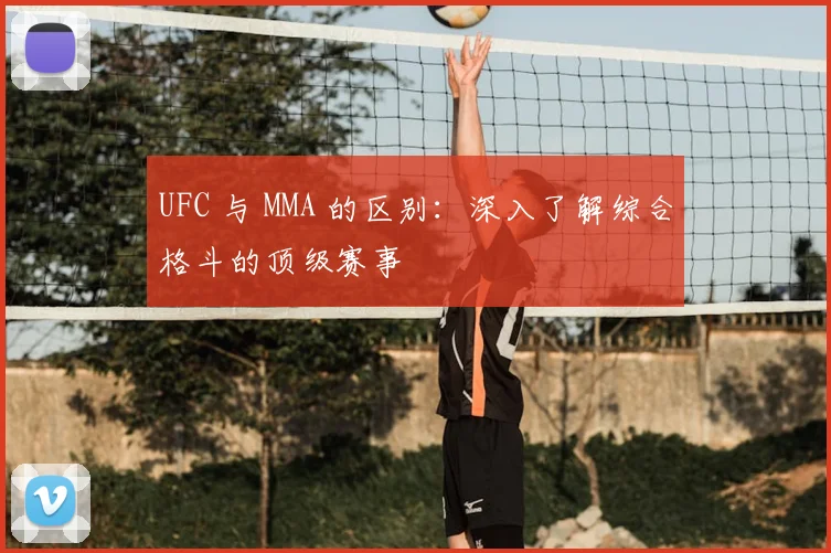UFC 与 MMA 的区别:深入了解综合格斗的顶级赛事