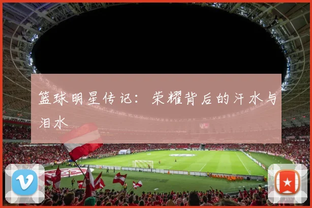 篮球明星传记:荣耀背后的汗水与泪水