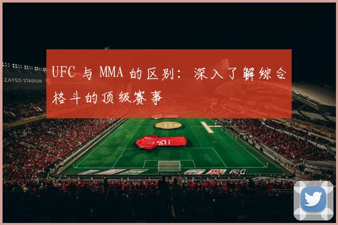 UFC 与 MMA 的区别:深入了解综合格斗的顶级赛事