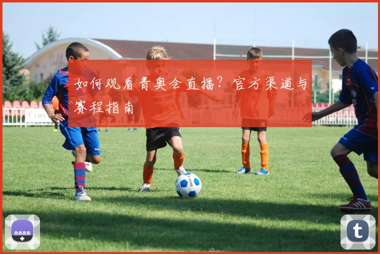 如何观看青奥会直播？官方渠道与赛程指南
